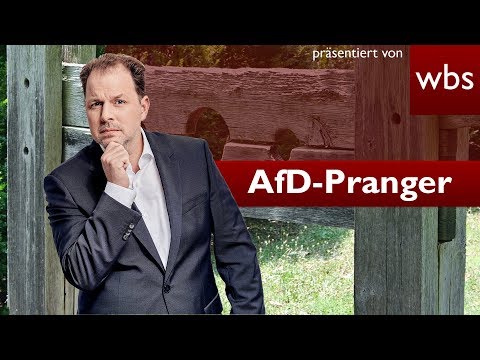 Erstes Bundesland verbietet AfD-Prangerportal! | Rechtsanwalt Christian Solmecke