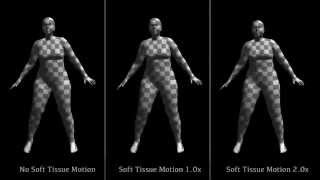 MoSh: Motion and Shape Capture from Sparse Markers (SIGGRAPH Asia 2014)