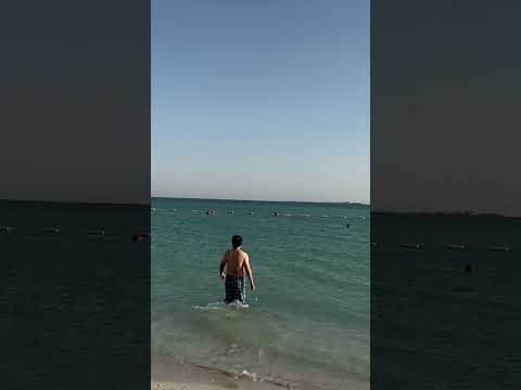 Al Hudayriat Island | Al Hudayriat Beach | Hudayriat Island | Hudayriat Beach | Abu Dhabi Vlog