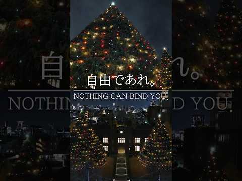 Discover Rikkyo：Ikebukuro Campus Tour in Autumn（#shorts ver.）【立教大学公式】