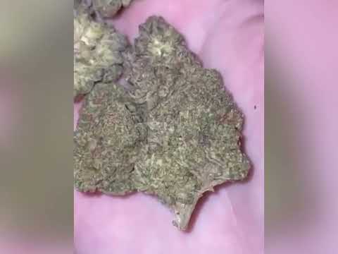 Views of my city freestyle