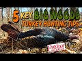 5 Key Turkey Hunting Tips For Run Gun Forest Ambush