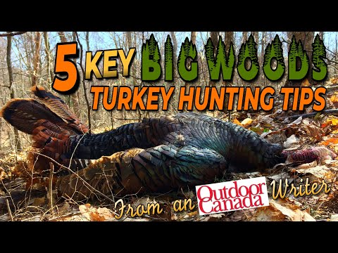 5 Key Turkey Hunting Tips For “Run & Gun” Forest Ambush