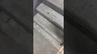 When a Man Loves a Woman (cover by Nevena, shortened)