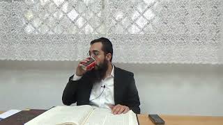 איך מדכורא יוצא פרצוף נוקבי והאם או''א לדרום וצפון או למערב | שער אבא ואמא פרק ג שיעור מסכם חלק ב
