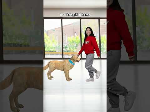 How to Enter a Concert for Free