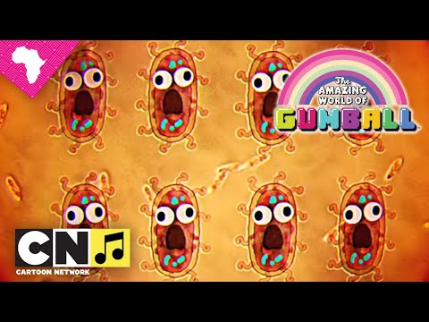 The Amazing World of Gumball |Bacteria | Cartoon Network