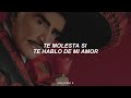 Vicente Fernández - Un Millón de Primaveras (Letra)