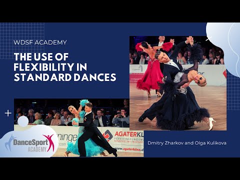 Dmitry Zharkov and Olga Kulikova | The use of flexibility in Standard ...