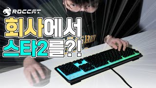퀘이사존
