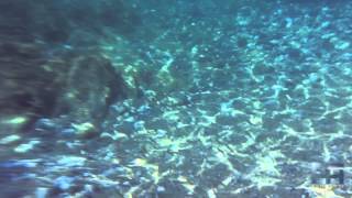 preview picture of video 'Under the Sea - Hotel Ferretti ****  - Diamante - Calabria'