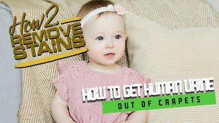 How to get human urine out of carpets 💦 ✔ Baby pee on your carpet?