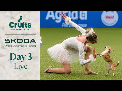 Day 3 LIVE | Crufts 2024