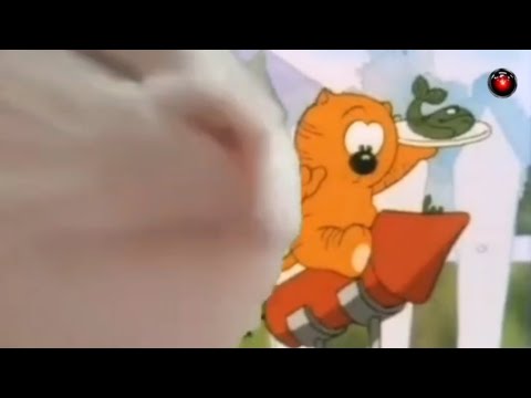 Chat qui danse sur générique dessin animé les Entrechats.