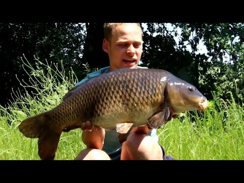 KARPER gevangen op een klein KANAAL