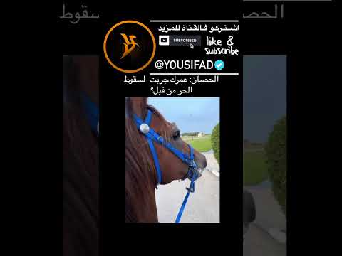 الحصان على اعصابه😭📵 #explore #subscribe #subscribe #shorts