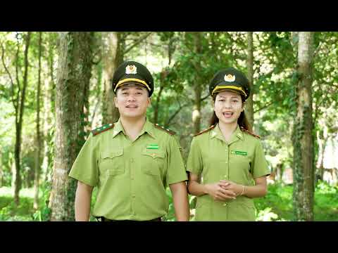 truyen-tai-thong-diep-tuyen-truyen-quan-ly-bao-ve-rung-2