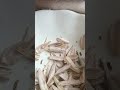 Simbat çekirdeğin içinden böcek çıktı Video ile Şikayet | Video ile İfşa Et
