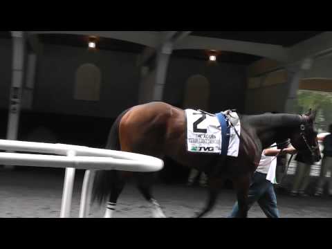 Turbulent Descent - The Acorn Stakes