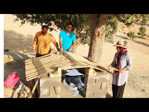 🐕Beautiful dog nest design by Asghar and Halimah