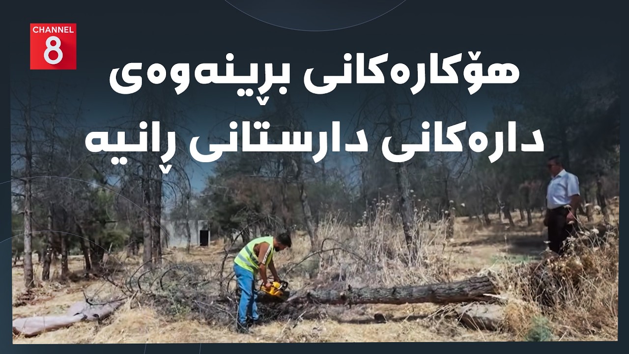 ڤیدیۆ | دەنگی زەوی - هۆکارەکانی بڕینەوەی دارەکانی دارستانی ڕانیە