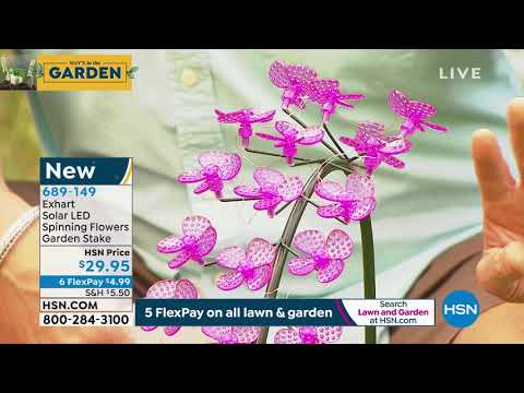 HSN | Guy's in the Garden 04.03.2020 - 08 AM