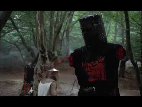 Monty Python & The Holy Grail: "...It's just a flesh wound..."