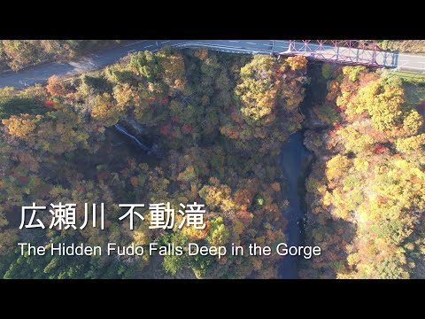 [4K] The Hidden Fudo Falls Deep in the Geroge / 広瀬川不動滝 紅葉2024