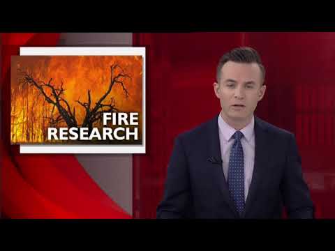 PRIME7 News Border 18-08-2017