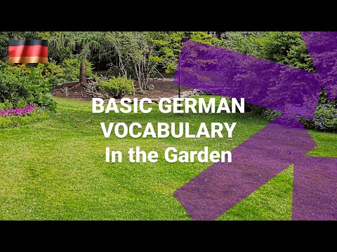 Basic German Vocabulary What Are the Numbers One to Ten in German