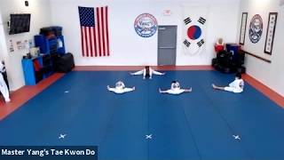 Live Class - Yellow Belt - 6.1.20 @ 3pm