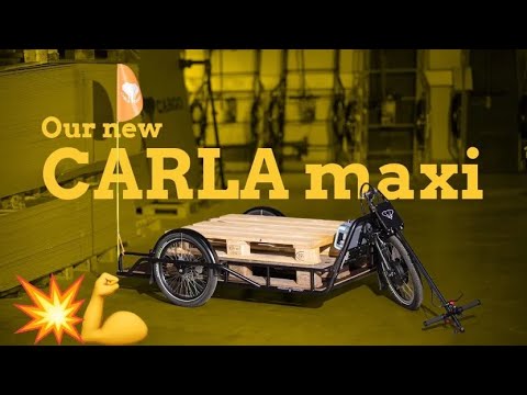 Remorque mécanique vélo spécialement développée aux dimensions des palettes Europe - Charge maxi 200kg - Carla Maxi PRO_6