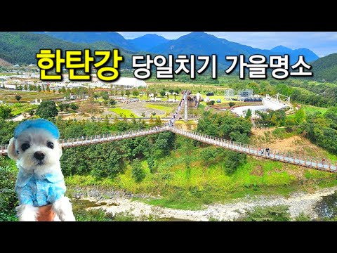 Pocheon Hantangang River 🧡 Y-shaped suspension bridge + columnar joints + pigeon saddle waterfall...