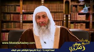 لهذا أنزلت 09 و لا تكرهوا فتياتكم علي البغاء