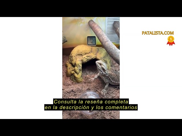 Vídeo relacionado con Cueva de cerámica de Dos Piezas Que retiene la Humedad y simula Roca Exo Terra, Pequeña