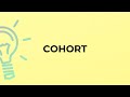 What Is The Meaning Of The Word COHORT