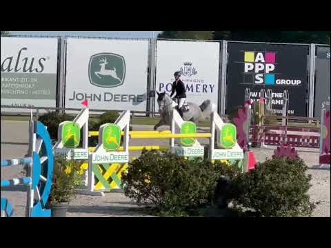 Daddy Cool Ter Linden Z