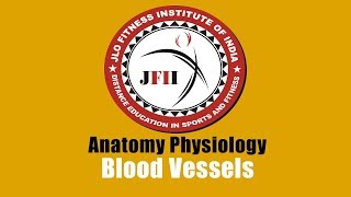JFII EXPLAINED CHAPTER 10                                         Blood Vessels