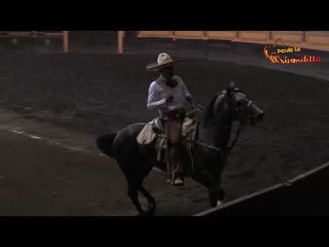 Eloy Curiel 5º Lugar Circuito de Coleadores