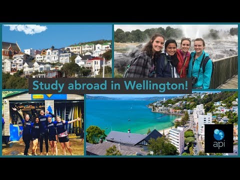 [Welcome to Wellington!] Study abroad in New Zealand with Massey University