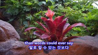 I Love You More and More Every Day - Al Martino: with Lyrics(가사번역) Denver Botanic GardensJ 2017