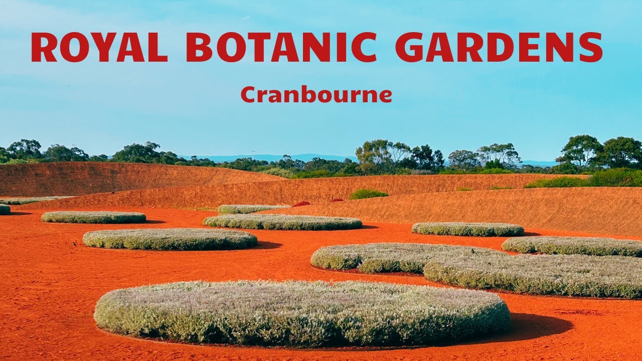 Dive into captivating virtual tour of Royal Botanic Gardens Cranbourne.