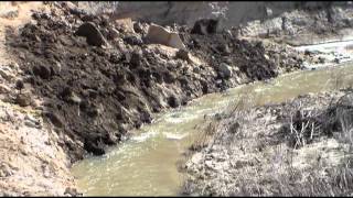 Any Day Woman - Raitt