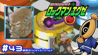【初見実況#43  納豆がいく電脳世界　ロックマンエクゼ実況【納豆】