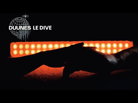 DUUNES - Le Dive (Official Lyric Video)