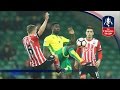 Norwich City 2-2 Southampton - Emirates FA Cup 2016/17 (R3) | Goals & Highlights
