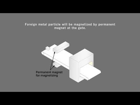Magnetized Metal Detector NT series