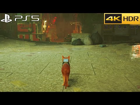 Stray (PS5) 4K 60FPS HDR Gameplay - (PS5 Version)