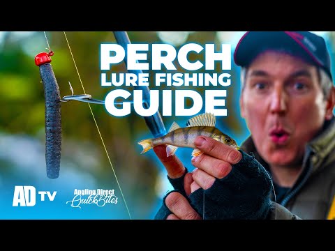 Tips og tricks til jigfiskeri efter vinteraborrer