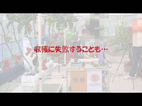 薬学科 研究室紹介｜池田研究室（機械工学科）